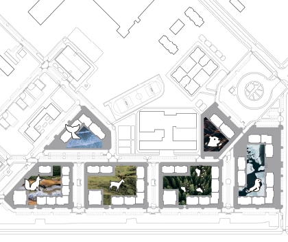 Концепция развития микрорайона "Камчатка"